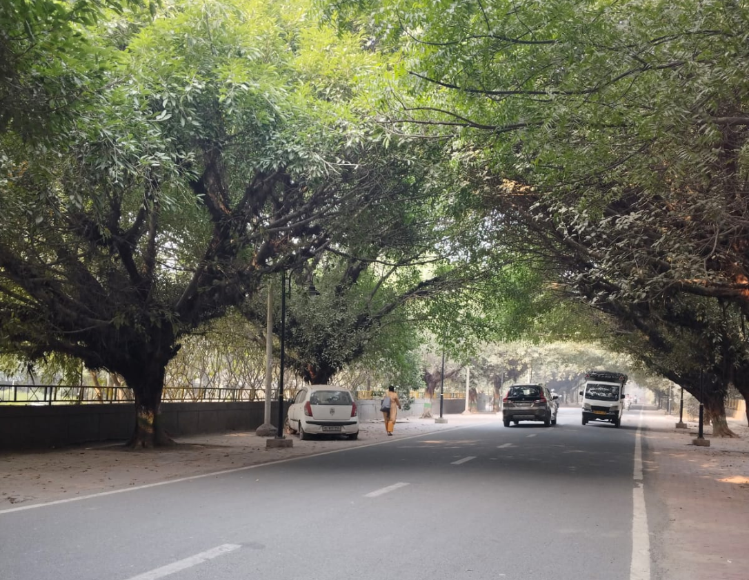 Kothi For Sale